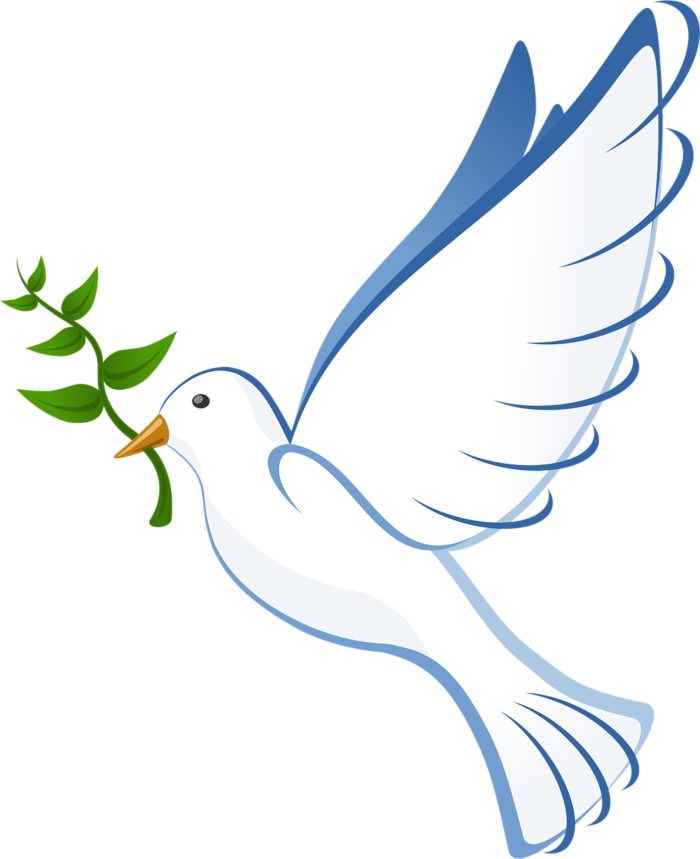 Cheapest Cremations Perth Peaceful Dove